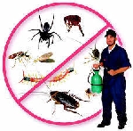 Pest control solution services ranchi jharkhand patna bihar